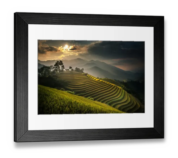 Framed Print : Rice terraces in Mu Cang Chai, North Vietnam Framed Print : Rice terraces in Mu Cang Chai, North Vietnam
