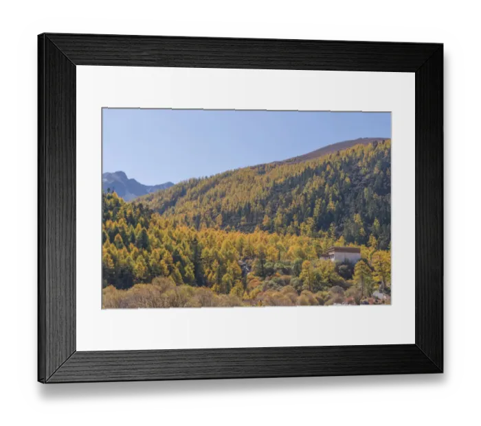 Framed Print : Beutiful nature of Colorful autumn in Yading national Framed Print : Beutiful nature of Colorful autumn in Yading national