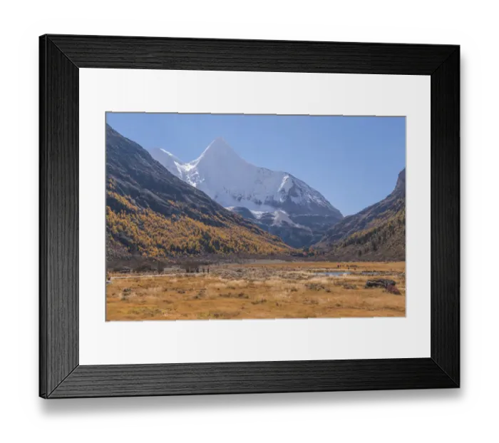 Framed Print : Beutiful nature of Colorful autumn in Yading national Framed Print : Beutiful nature of Colorful autumn in Yading national