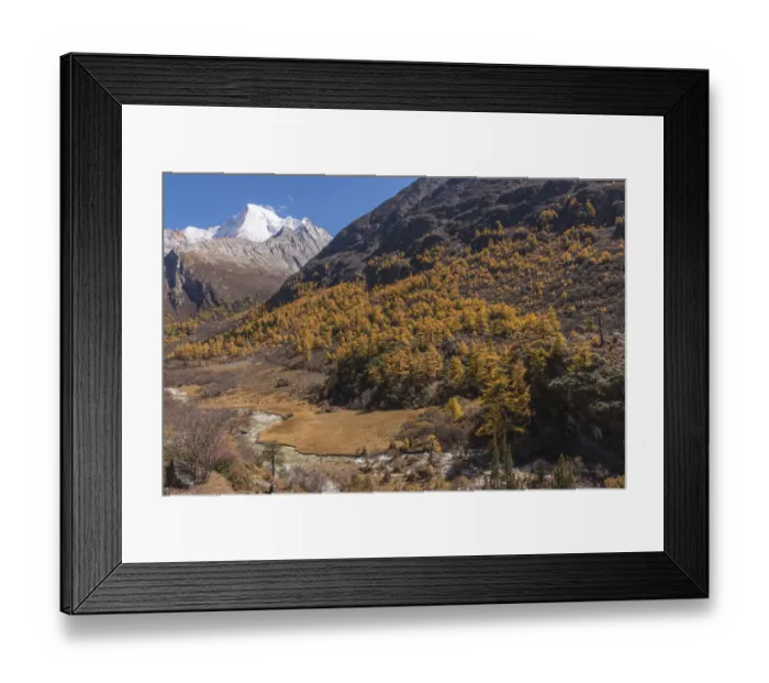 Framed Print : Beutiful nature of Colorful autumn in Yading national Framed Print : Beutiful nature of Colorful autumn in Yading national