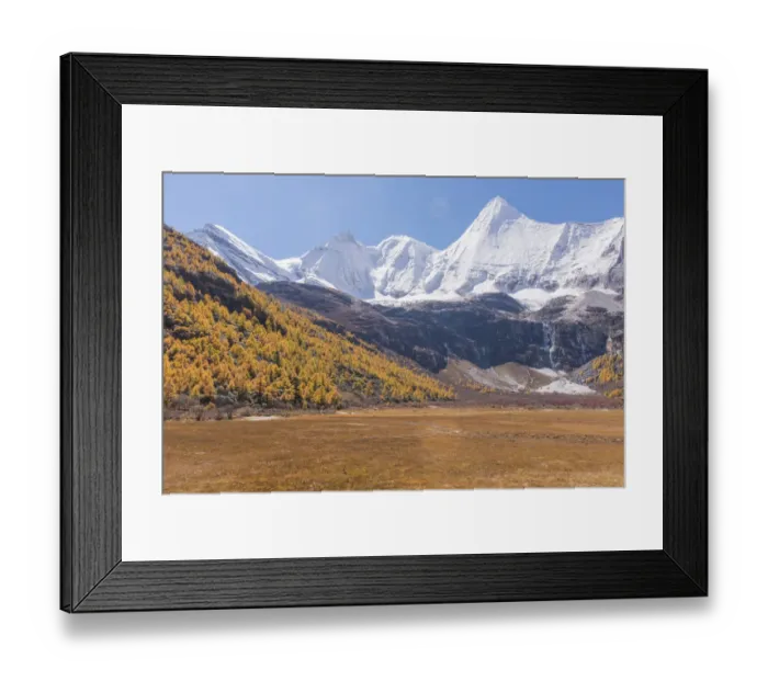 Framed Print : Beutiful nature of Colorful autumn in Yading national Framed Print : Beutiful nature of Colorful autumn in Yading national