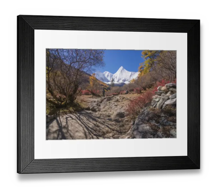 Framed Print : Beutiful nature of Colorful autumn in Yading national Framed Print : Beutiful nature of Colorful autumn in Yading national