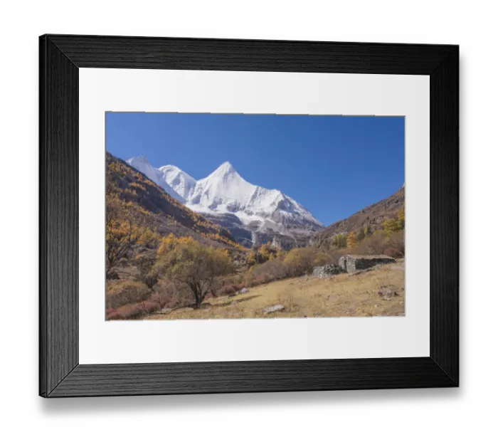 Framed Print : Beutiful nature of Colorful autumn in Yading national Framed Print : Beutiful nature of Colorful autumn in Yading national