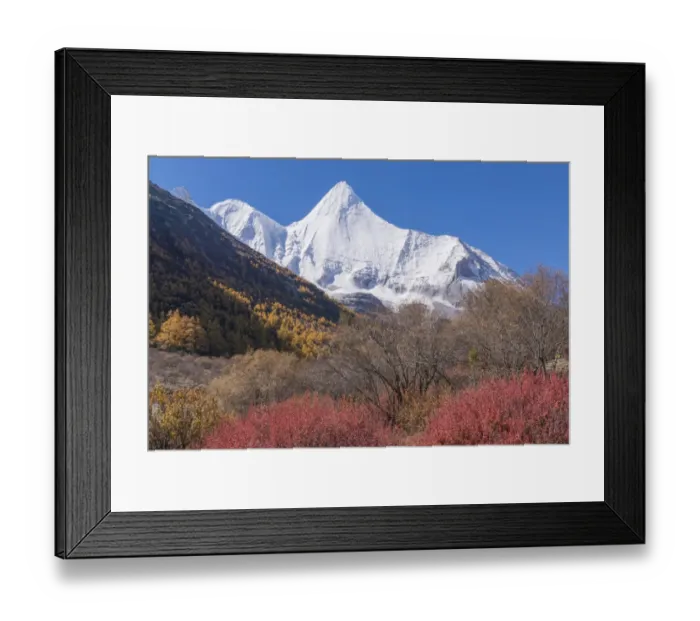 Framed Print : Beutiful nature of Colorful autumn in Yading national Framed Print : Beutiful nature of Colorful autumn in Yading national