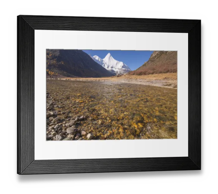 Framed Print : Beutiful nature of Colorful autumn in Yading national Framed Print : Beutiful nature of Colorful autumn in Yading national