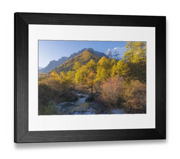Framed Print : Beutiful nature of Colorful autumn in Yading national Framed Print : Beutiful nature of Colorful autumn in Yading national
