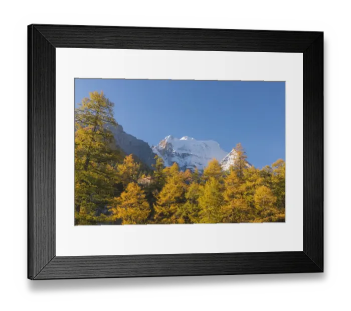 Framed Print : Beutiful nature of Colorful autumn in Yading national Framed Print : Beutiful nature of Colorful autumn in Yading national