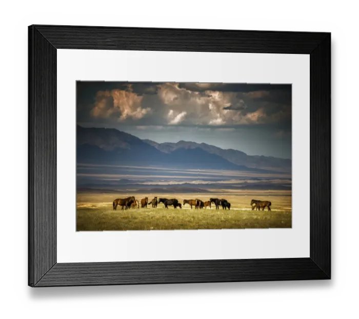 Framed Print : Somewhere Down in Kazakhstan