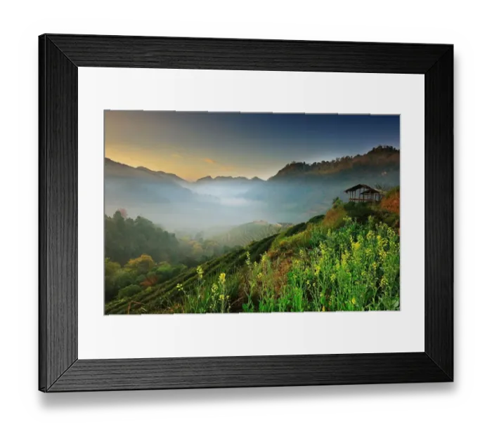 Framed Print : Tea garden 2000 chiangmai Framed Print : Tea garden 2000 chiangmai