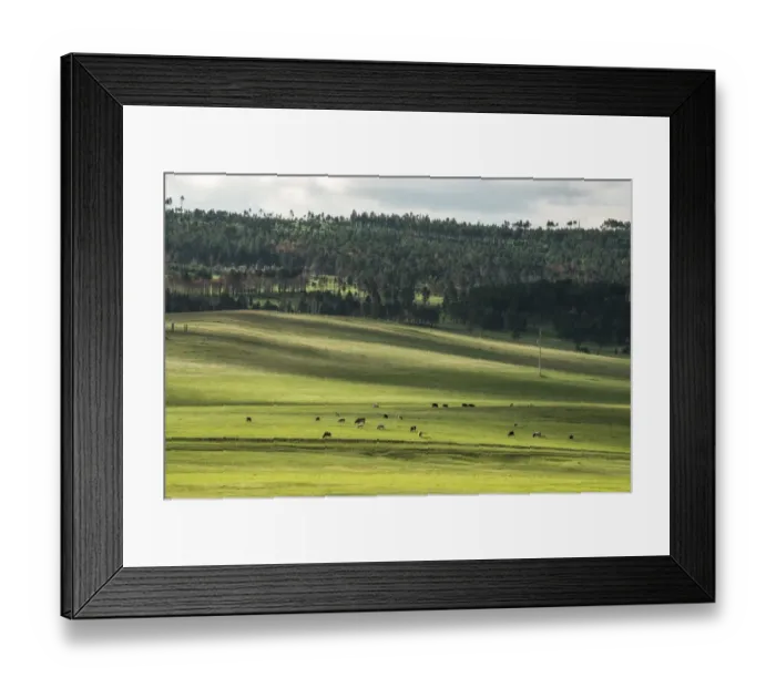 Framed Print : Siberia in summer Framed Print : Siberia in summer