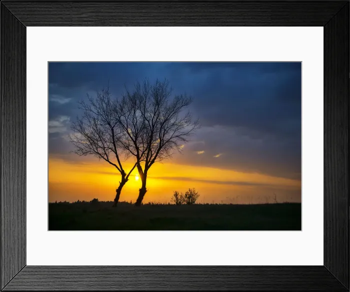 Framed Print : Dead tree with sunset at Changbaisan Framed Print : Dead tree with sunset at Changbaisan