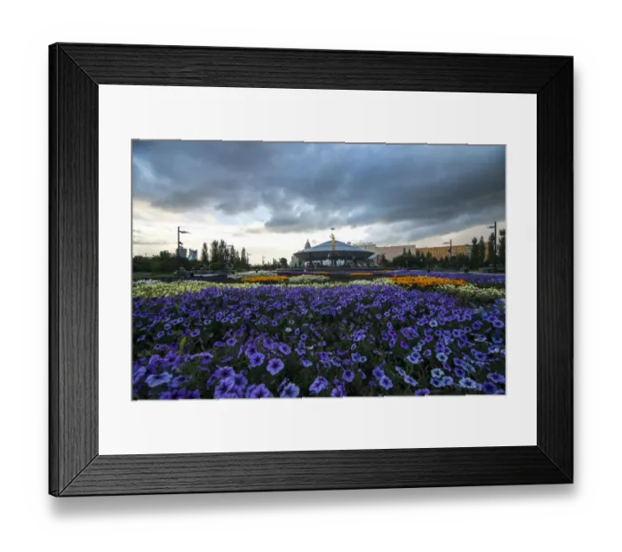 Framed Print : The Circus at astana Framed Print : The Circus at astana