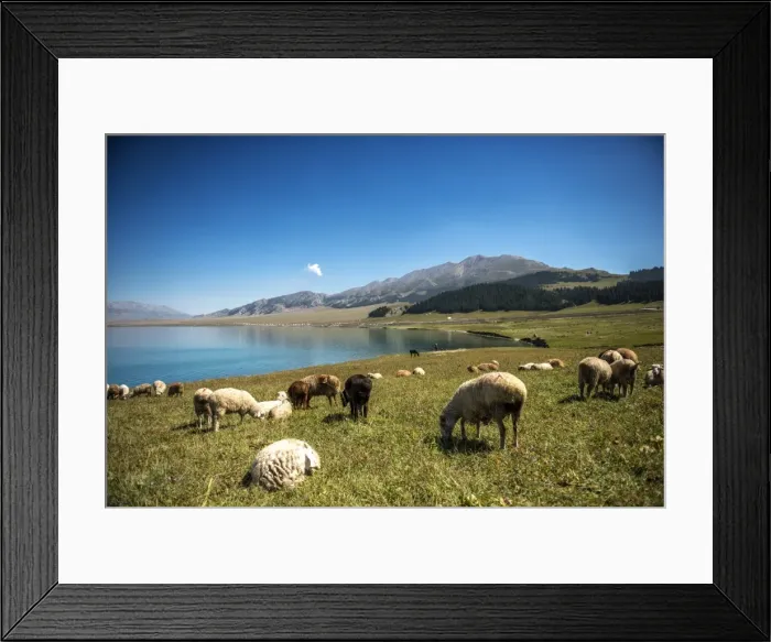 Framed Print : Sayram lake Framed Print : Sayram lake