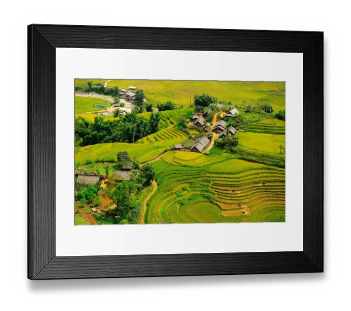 Framed Print : Rice field terraces Framed Print : Rice field terraces