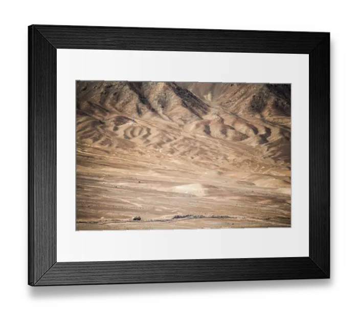 Framed Print : Details mountain in leh ladakh