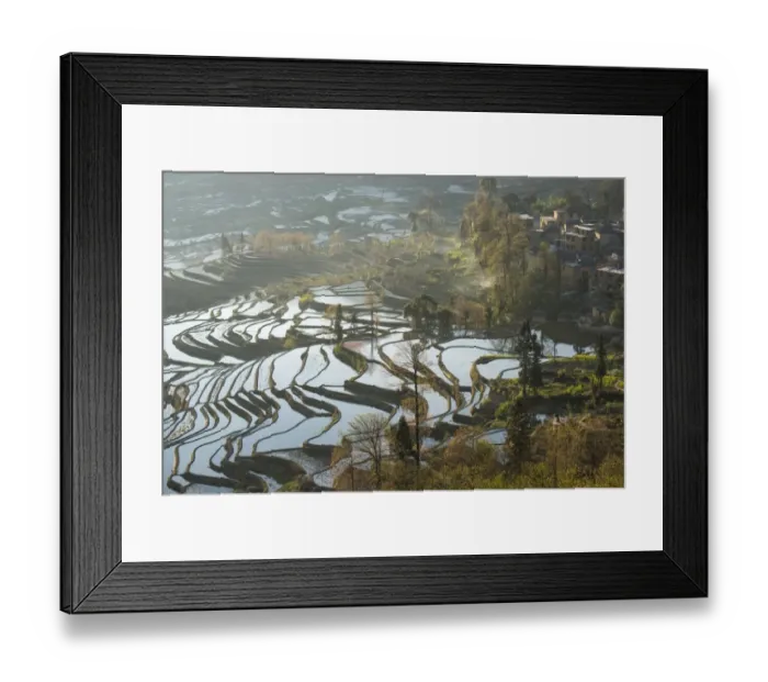 Framed Print : Yuanyang Rice Terraces Framed Print : Yuanyang Rice Terraces