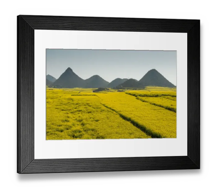 Framed Print : Luoping yunnan Framed Print : Luoping yunnan