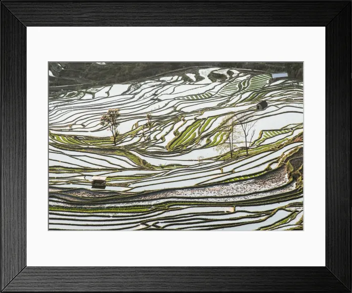 Framed Print : Yuanyang Framed Print : Yuanyang