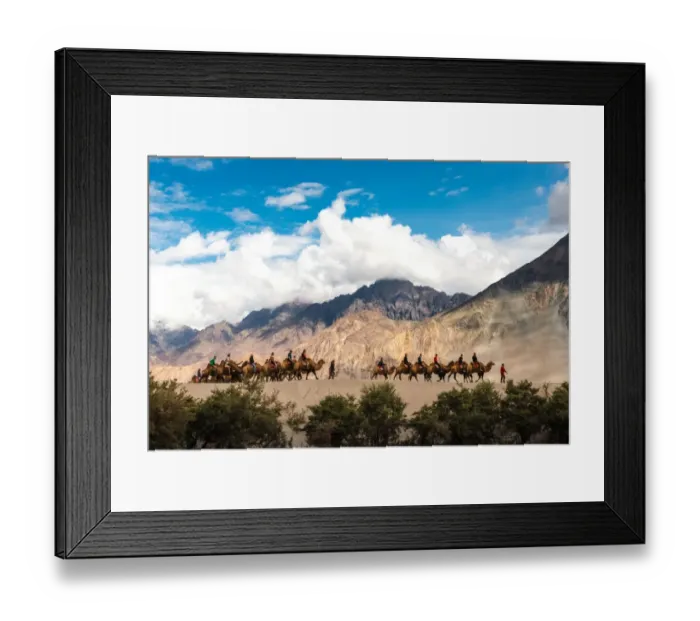 Framed Print : Traveling on Camels