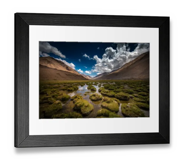 Framed Print : Tussocks Of Permafrost Framed Print : Tussocks Of Permafrost