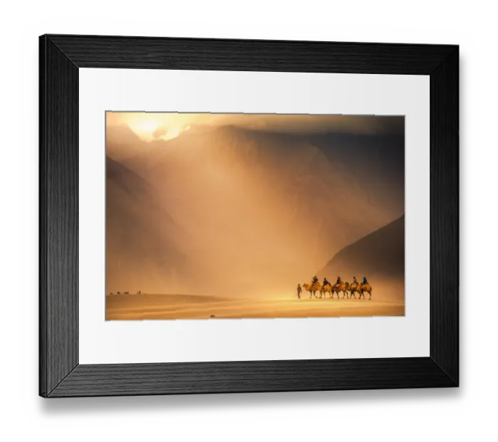 Framed Print : Camel caravan at Nubra valley Framed Print : Camel caravan at Nubra valley