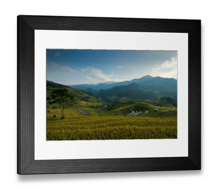 Framed Print : Rice terrace Framed Print : Rice terrace