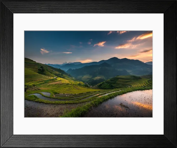 Framed Print : Rice terrace Framed Print : Rice terrace