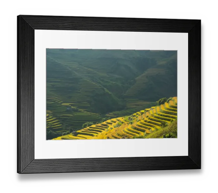 Framed Print : Rice terraces in Mu Cang Chai, North Vietnam Framed Print : Rice terraces in Mu Cang Chai, North Vietnam