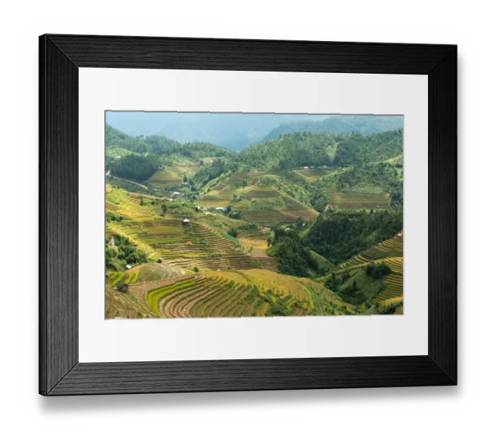 Framed Print : Rice terraces in Mu Cang Chai, North Vietnam