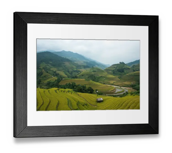 Framed Print : Rice terraces in Mu Cang Chai, North Vietnam Framed Print : Rice terraces in Mu Cang Chai, North Vietnam