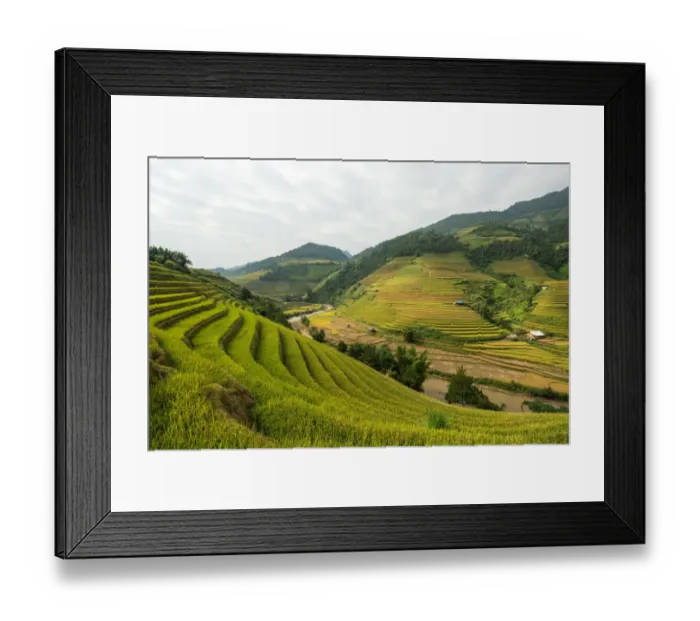 Framed Print : Rice terraces in Mu Cang Chai, North Vietnam Framed Print : Rice terraces in Mu Cang Chai, North Vietnam
