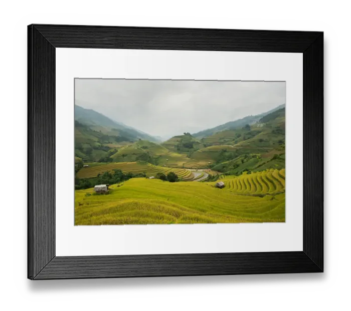 Framed Print : Rice terraces in Mu Cang Chai, North Vietnam Framed Print : Rice terraces in Mu Cang Chai, North Vietnam