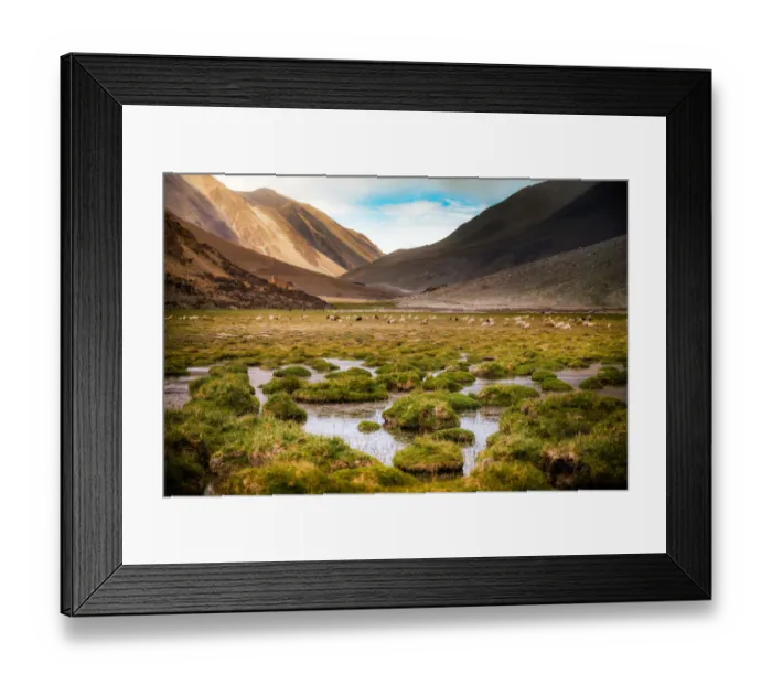 Framed Print : Dreamland Framed Print : Dreamland