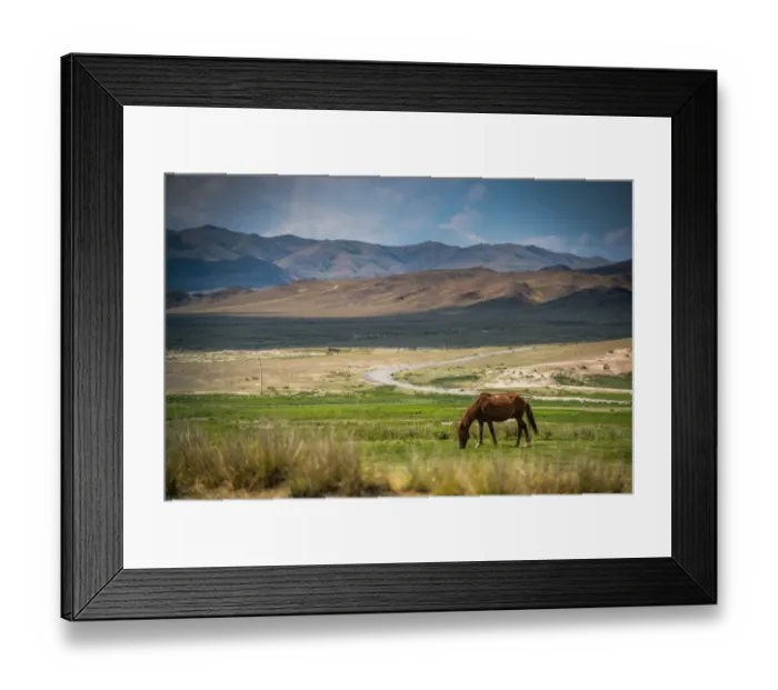 Framed Print : Horses in field Framed Print : Horses in field