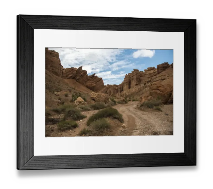 Framed Print : Charyn Canyon
