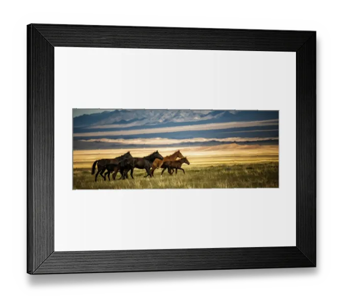 Framed Print : Horses galloping over the field in Kazakhstan Framed Print : Horses galloping over the field in Kazakhstan
