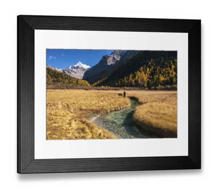 Framed Print : Nature Framed Print : Nature