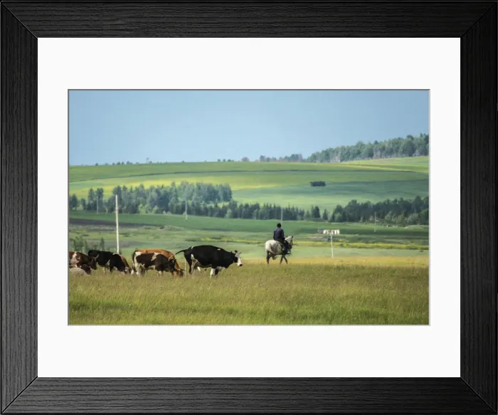 Framed Print : Cowboy Framed Print : Cowboy