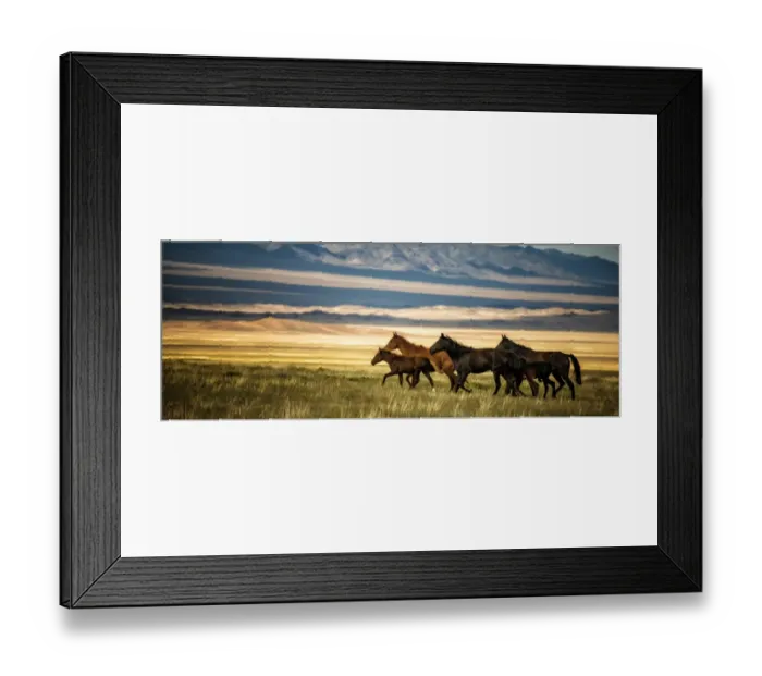 Framed Print : Horses galloping over the field in kazakhstan Framed Print : Horses galloping over the field in kazakhstan