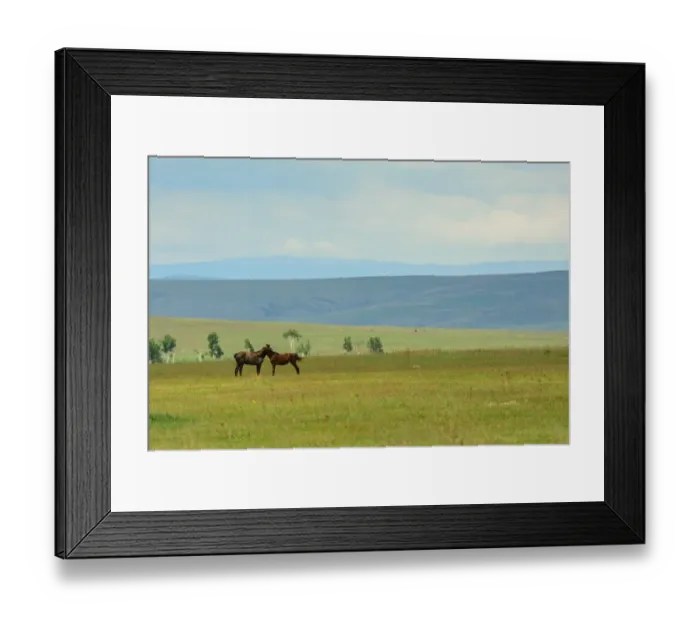 Framed Print : Love horses in Siberia Framed Print : Love horses in Siberia