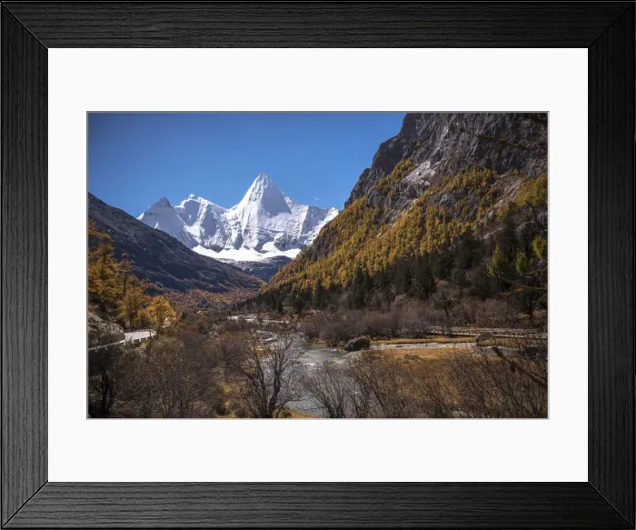 Framed Print : Nature Framed Print : Nature