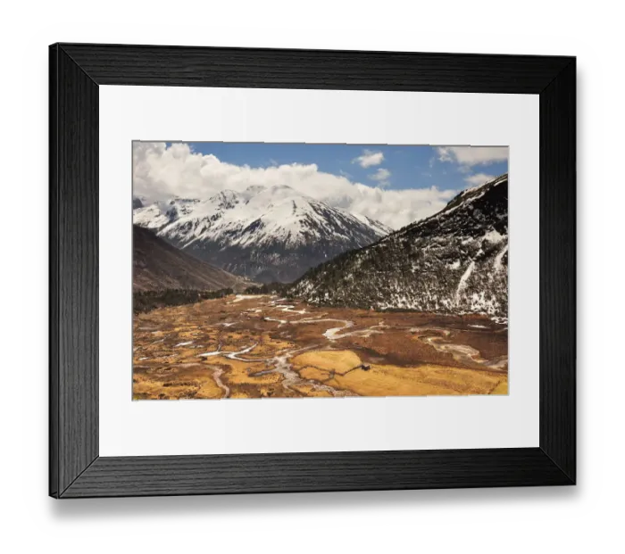 Framed Print : Chopta Valley Framed Print : Chopta Valley