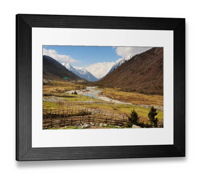 Framed Print : Yumthang Valley Framed Print : Yumthang Valley