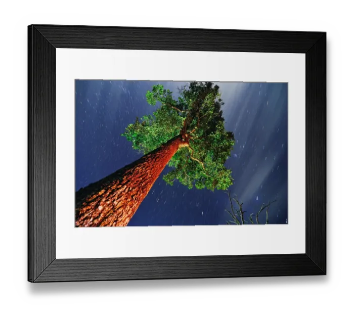 Framed Print : Tree of eternity Framed Print : Tree of eternity