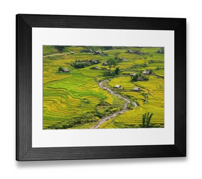 Framed Print : Sapa. Rice terrace Ta Van, Sapa, Vietnam