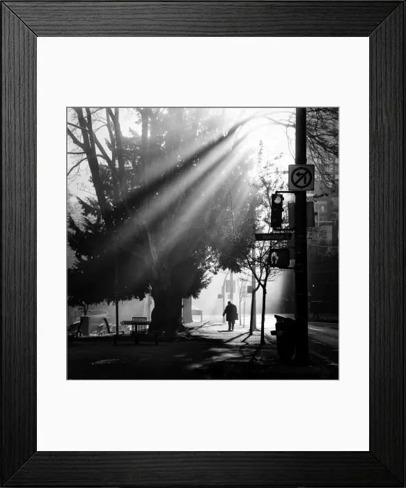 Framed Print : Hamilton St Framed Print : Hamilton St