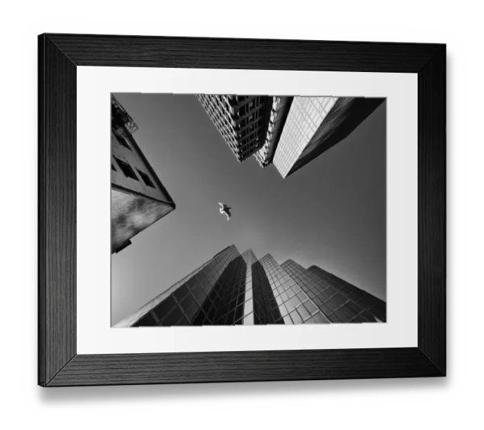 Framed Print : 1 3 5. Downtown Vancouver Framed Print : 1 3 5. Downtown Vancouver