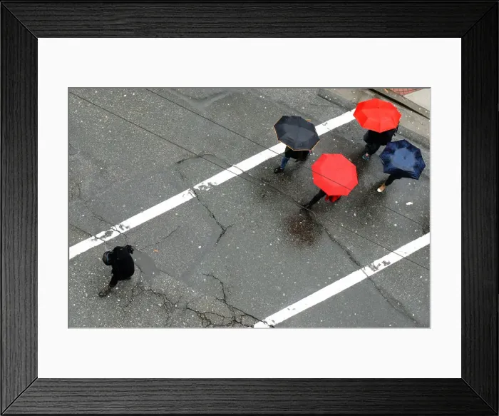 Framed Print : Follow him Framed Print : Follow him