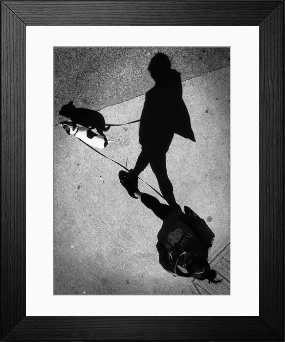 Framed Print : The four of us Framed Print : The four of us