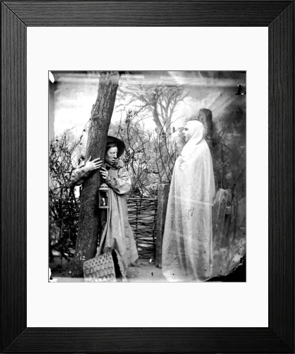 Framed Print : Forest Apparition Framed Print : Forest Apparition